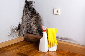 Best Residential Mold Inspection & Testing  in Lake Pocotopaug, CT